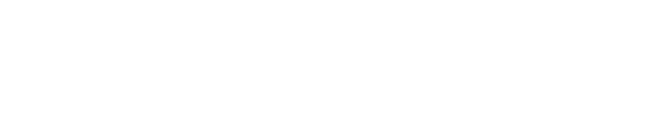 Devise Software House - Logo Claro